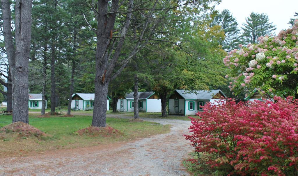 Pine Valley Cabins Thornton Exterior foto