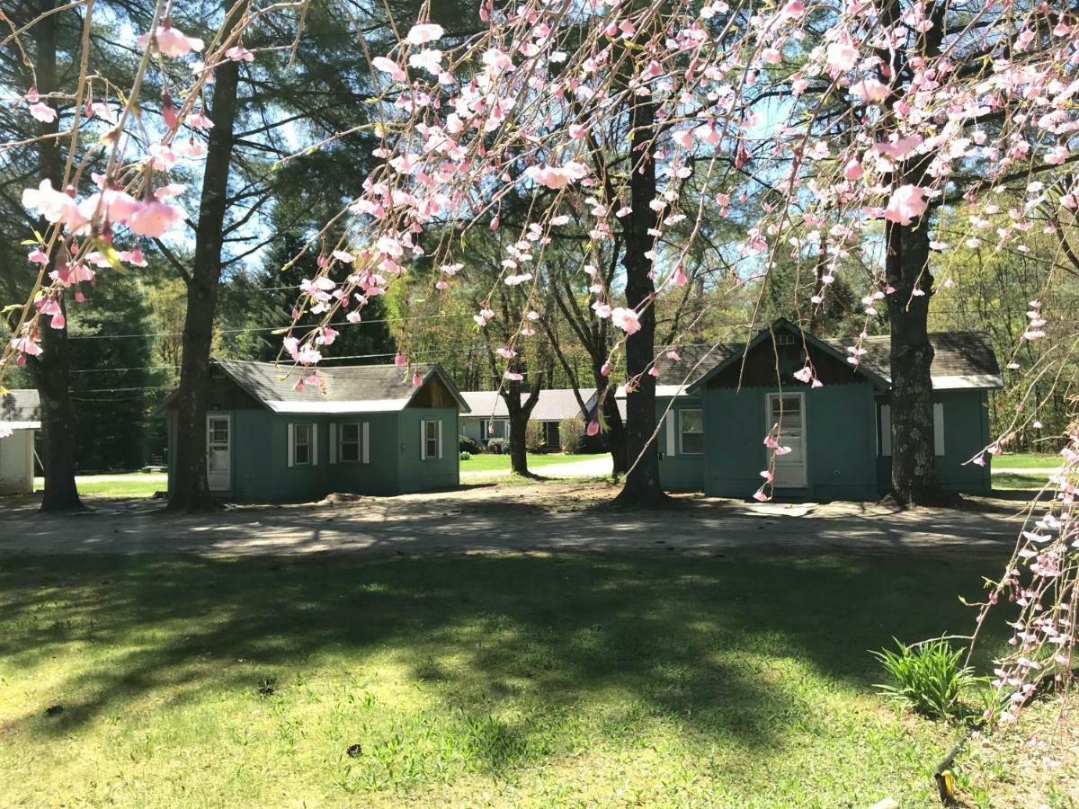 Pine Valley Cabins Thornton Exterior foto
